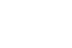 Logo der Fernfachhochschule Schweiz FFHS