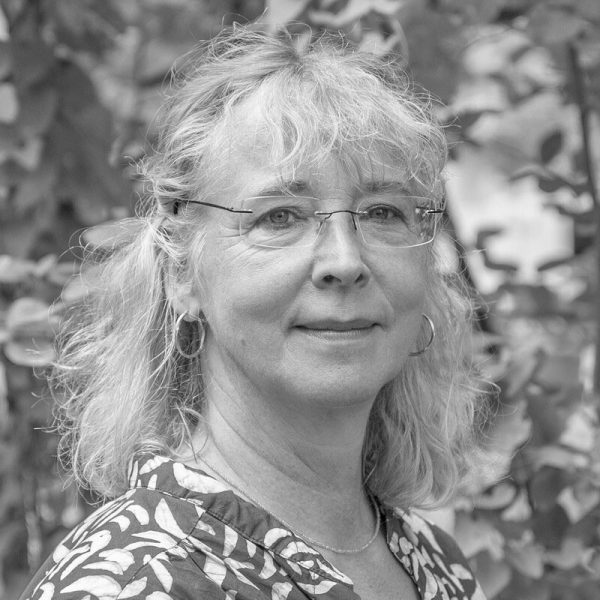 Digitalisierung Bildung; KI Bildung, Digitale Bildung, Kompetenzzentrum; KI; Bildungsforschung, Schule, Infos Translation 2026